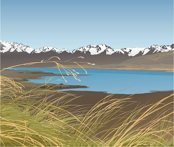 Tussocklands A view of New Zealand's beautiful Lake Tekapo.  Fully layered for easy editing.  Includes EPS, AI CS2 and hi-res JPG. tussock stock illustrations