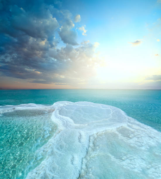 Salt field in dead sea Salt field in dead sea dead sea stock pictures, royalty-free photos & images