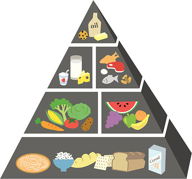 ilustraciones, imágenes clip art, dibujos animados e iconos de stock de guía de pirámide de alimentos - food pyramid food healthy eating spaghetti