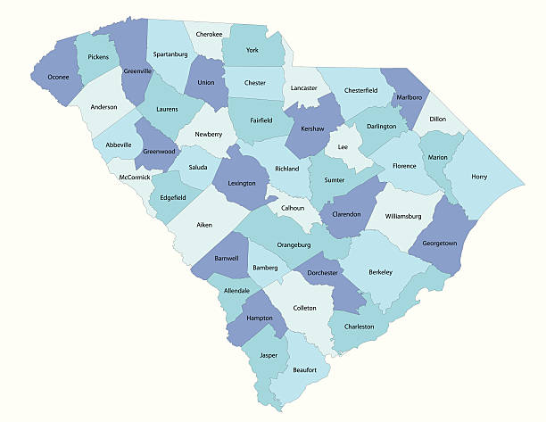 illustrations, cliparts, dessins animés et icônes de south carolina state-comté de la carte - south carolina map cartography outline