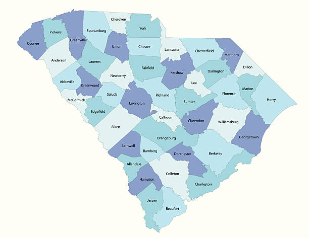 south carolina state - county map - south carolina stock illustrations