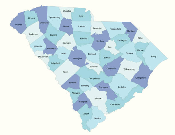 South Carolina state - county map Detailed state-county map of South Carolina. counties stock illustrations