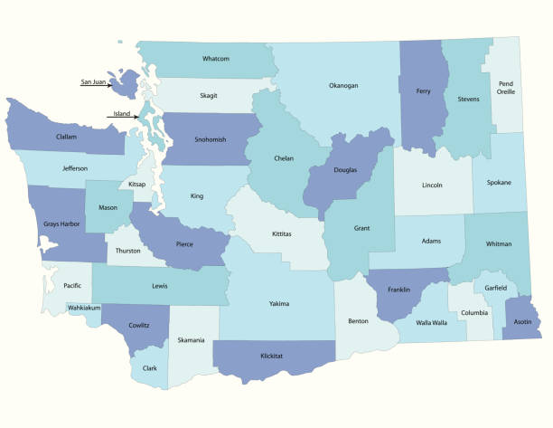 ilustraciones, imágenes clip art, dibujos animados e iconos de stock de mapa de tecnología del condado de washington - district type