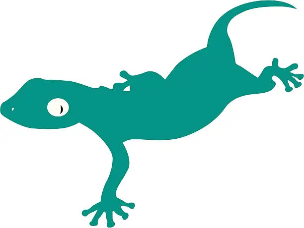 Vector illustration of Gekko