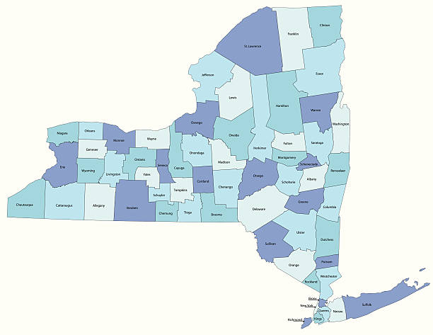нью-йорк-графство карта - new york stock illustrations