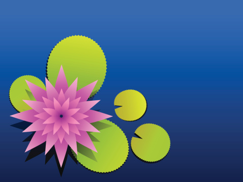 Lotus flower in water. Vector illustration - zip contains EPS, AI and highres JPG.