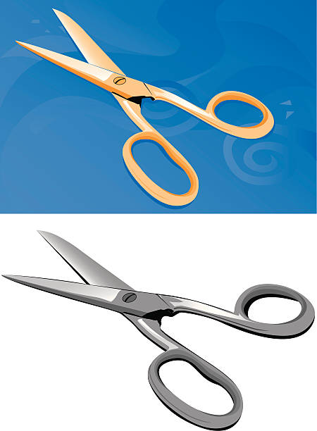 Scissors vector art illustration