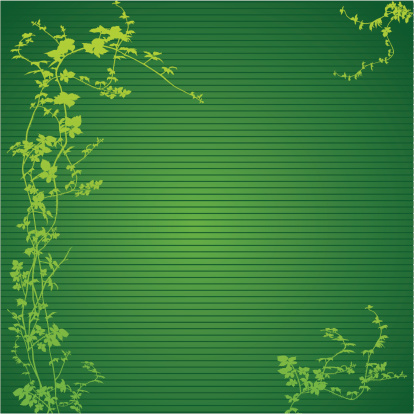 A vector frame of hops i green shades.