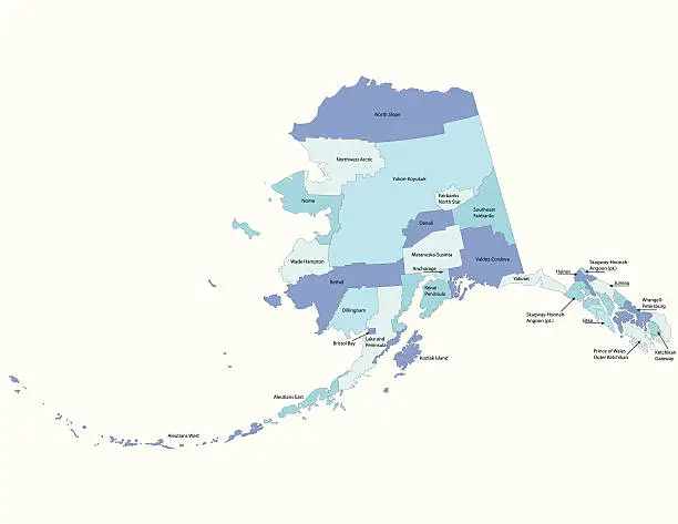 Vector illustration of Alaska state - county map
