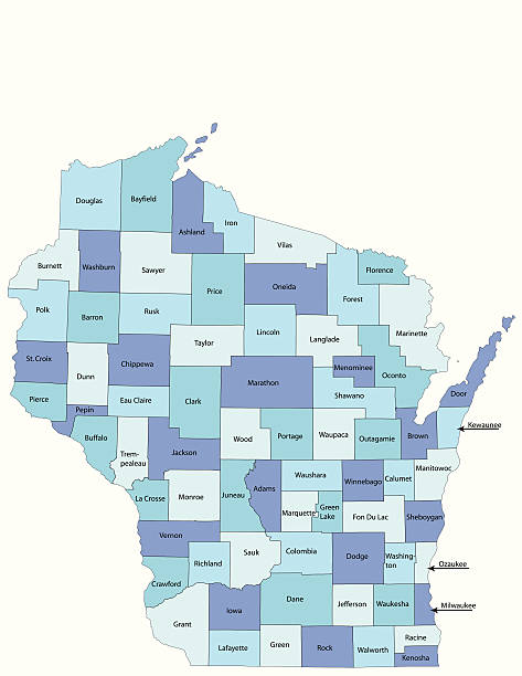 wisconsin state - county map - wisconsin stock illustrations