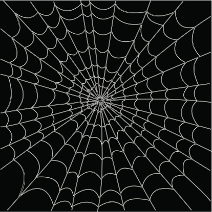A vector illustration of a spiderweb. The lines comprise of closed shapes so the web's innards can be changed to another (maybe more contrasting!) colour. High-res jpeg, EPS8, AI CS files are included.