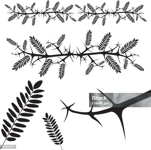 Spina Delle Piantevettoriale - Immagini vettoriali stock e altre immagini di Spina delle piante - Spina delle piante, Angolo - Descrizione, Vettoriale