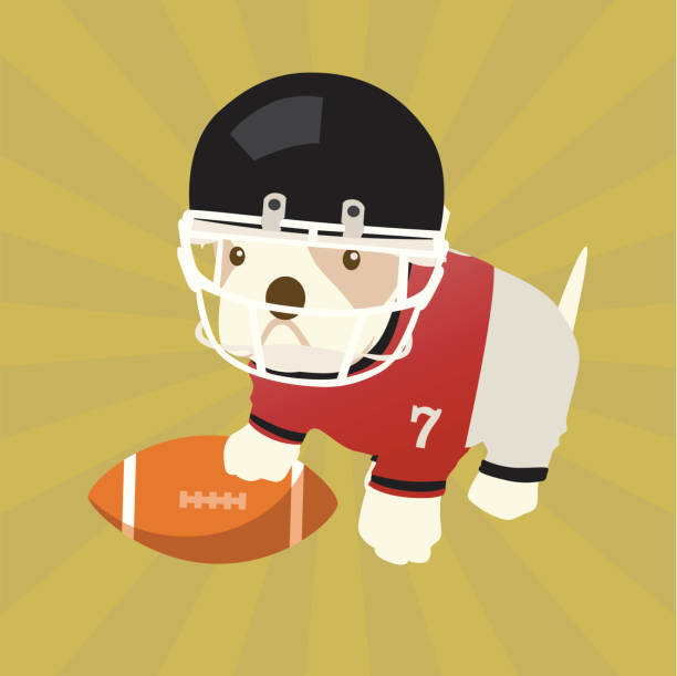 illustrations, cliparts, dessins animés et icônes de chiot bulldog quarterback - national championship