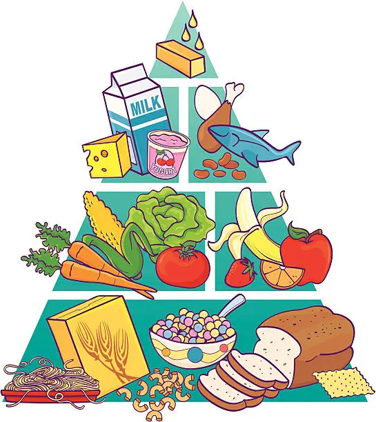 Vector illustration of Food Pyramid in Color