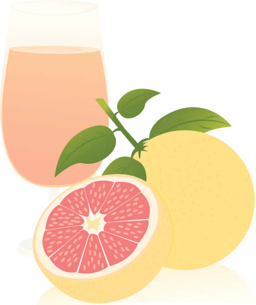 Pamplemousse Animation 310+ Jus De Pamplemousse Illustrations Illustrations, graphiques ...