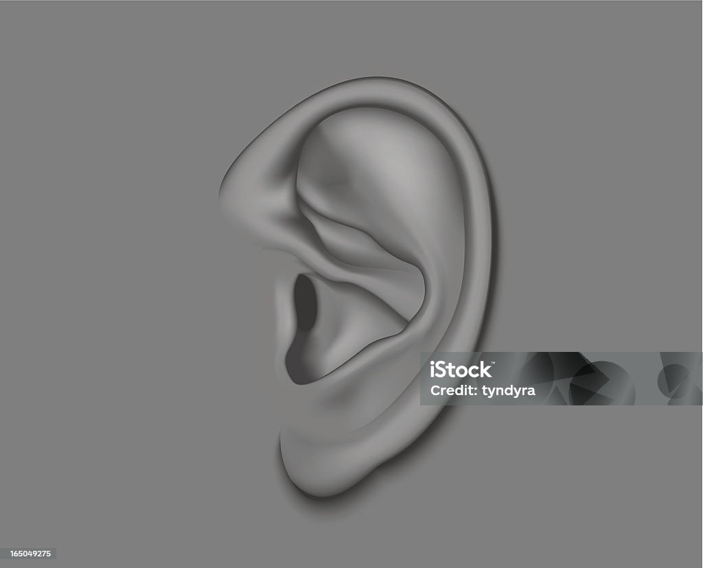 ear - Lizenzfrei Horizontal Vektorgrafik