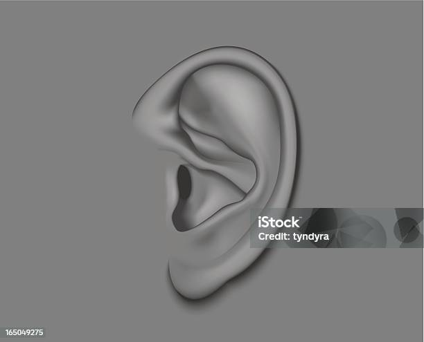 Ear Stock Vektor Art und mehr Bilder von Horizontal - Horizontal, Illustration, Menschen