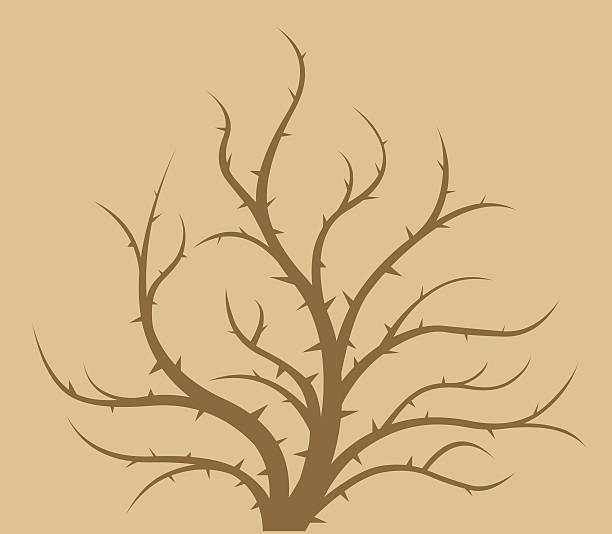 веточка колючка - computer graphic image stick tree trunk stock illustrations