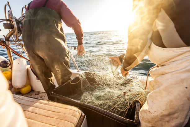 os pescadores no trabalho, puxando as redes - trawler - fotografias e filmes do acervo