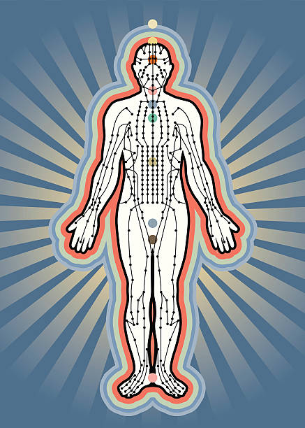 akupunktur-meridiane - aura alternative medizin illustration stock-grafiken, -clipart, -cartoons und -symbole