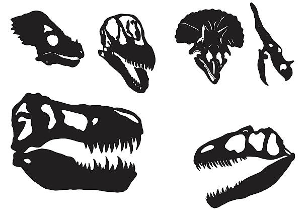 illustrazioni stock, clip art, cartoni animati e icone di tendenza di dinosauro capo - triassic