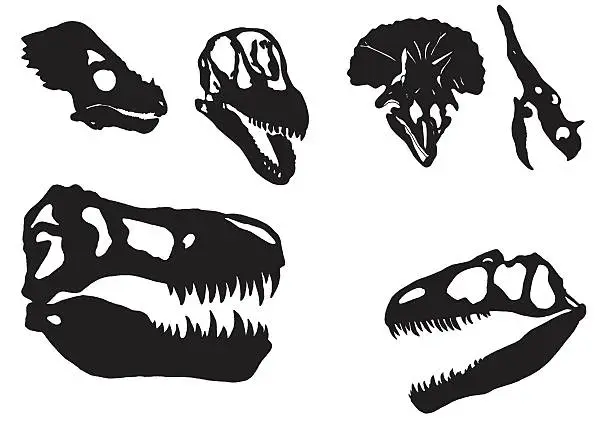 Vector illustration of Dinosaur skulls