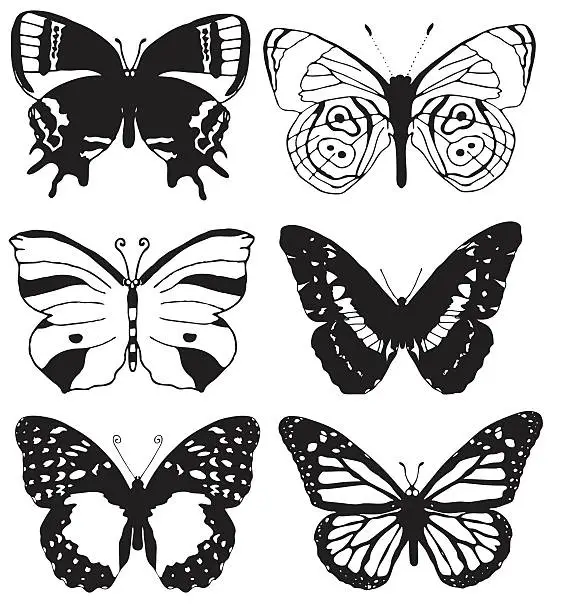 Vector illustration of butterflies vector