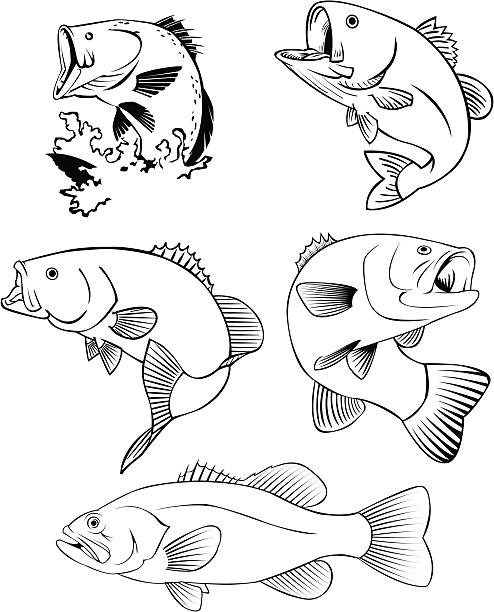 すべてのバス - catch of fish sport black and white activity点のイラスト素材／クリップアート素材／マンガ素材／アイコン素材