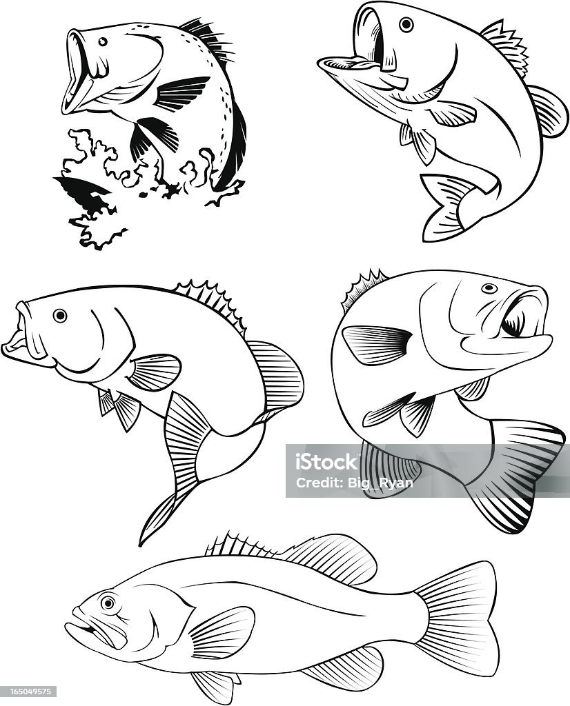 ALL BASS BLACK LINE ART OF BASS FISH Fish stock vector