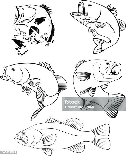 All Bass Stock Illustration - Download Image Now - Fish, Vector, Activity