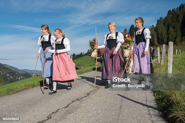 Swiss Cattle Frauen Führen Auf Die Berge Stockfoto und mehr Bilder von Anführen - Anführen, Anhöhe, Berner Alpen