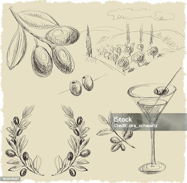 Oliwka - Stockowe grafiki wektorowe i więcej obrazów Oliwka - Oliwka, Drzewo oliwne, Gałązka oliwna