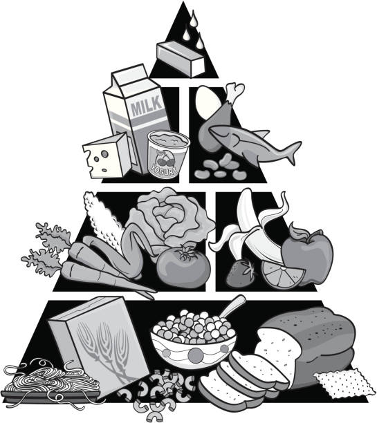 ilustraciones, imágenes clip art, dibujos animados e iconos de stock de pirámide de alimentos en escala de grises - food pyramid food healthy eating spaghetti