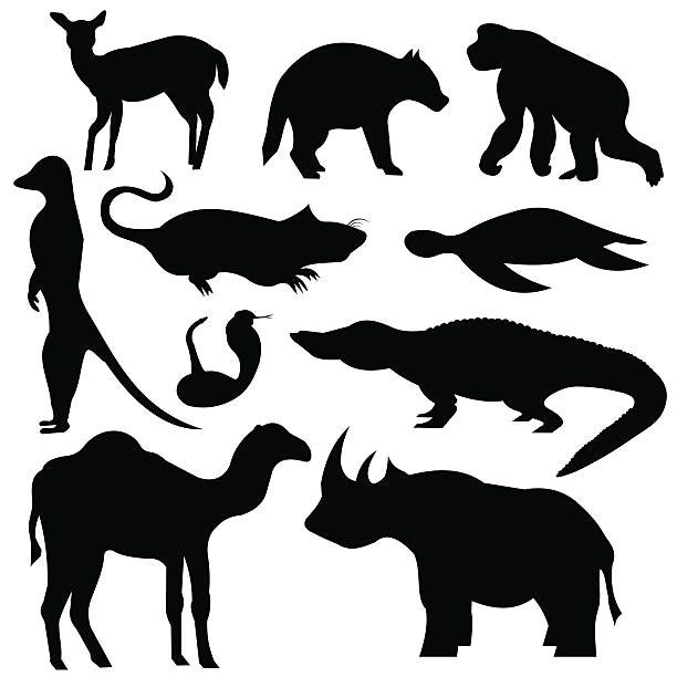 Wildlife Silhouettes vector art illustration