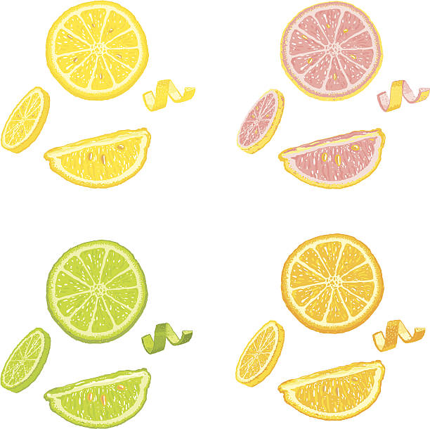 Citrus Fruit Slices and Wedges Very detailed vector art with intricate shading and highlights. Perfect for enlarging. Each object is grouped separately for effortless editing. Great design elements. citric acid stock illustrations