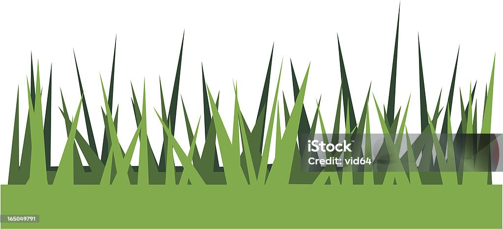 Vector illustration of summer grass Summer grass vector Blade of Grass stock vector