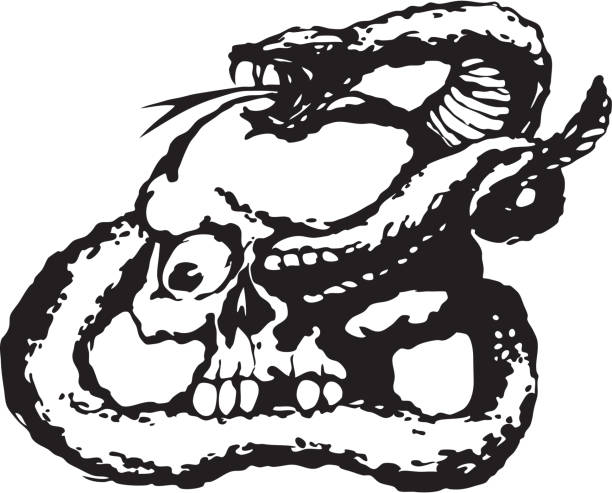 ilustraciones, imágenes clip art, dibujos animados e iconos de stock de serpiente larvadas carentes de un miedo cráneo - tattoo cobra community indigenous culture