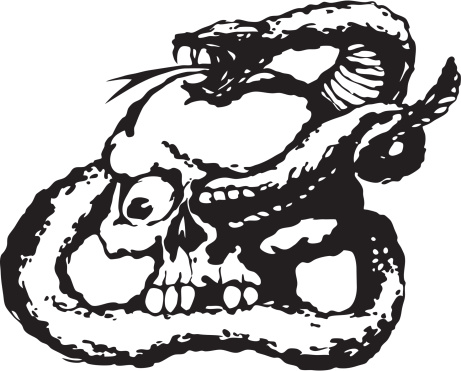 Tatoo style illustration of skull and snake