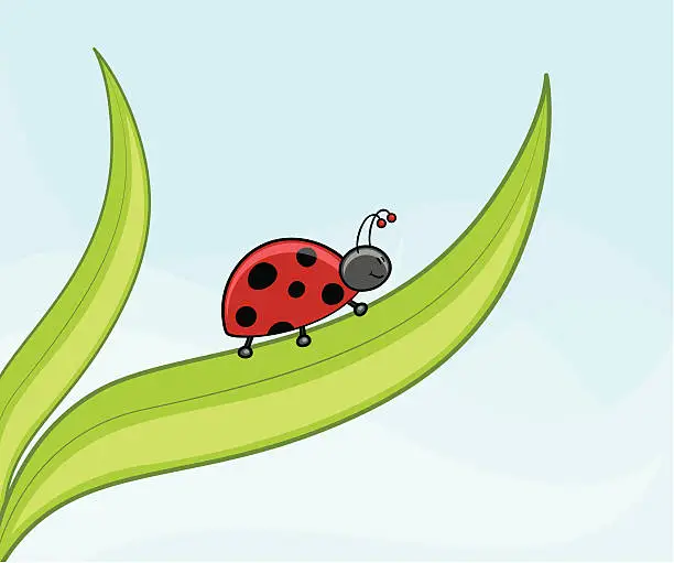 Vector illustration of Miss Ladybug - incl. jpeg