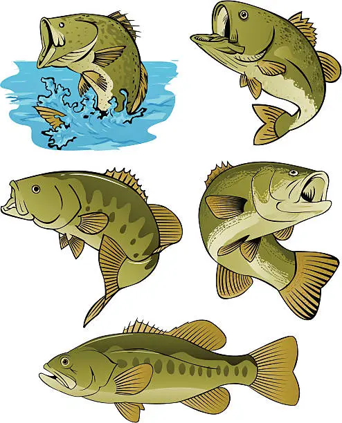 Vector illustration of LOTS OF BASS