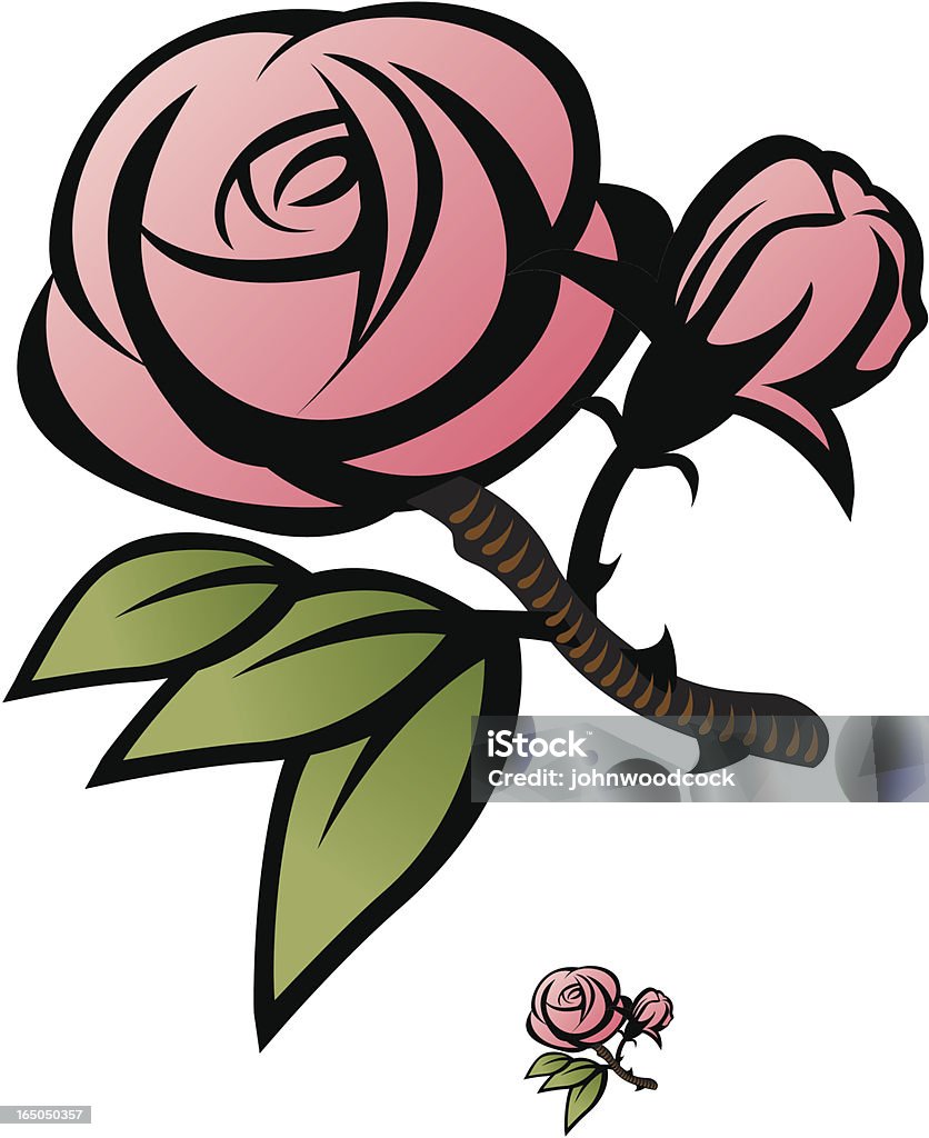 Rose A rose and bud with some leaves-neat decorative item, chunky styling allows big reductions. Bud stock vector