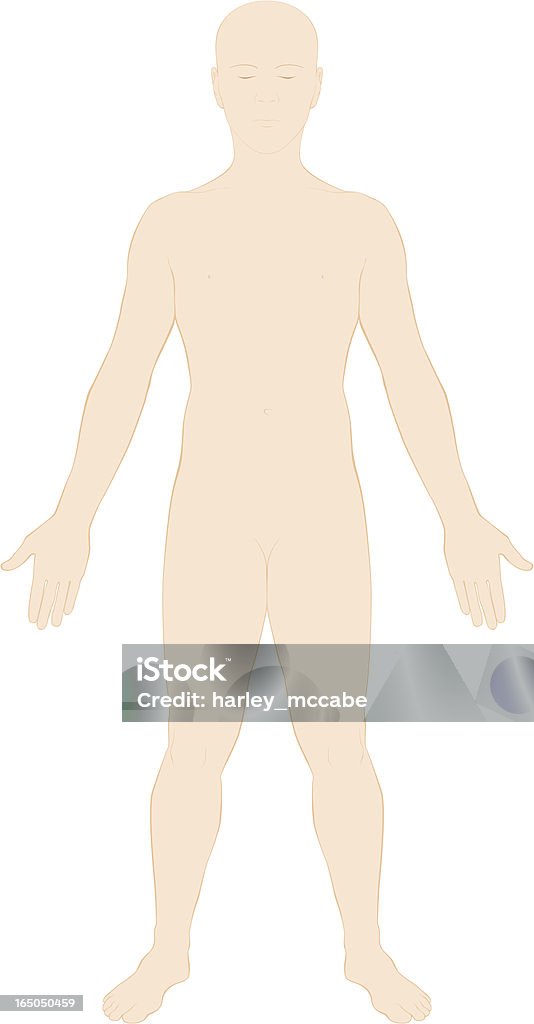 Surface du corps humain anatomie-couleur - clipart vectoriel de Anatomie libre de droits