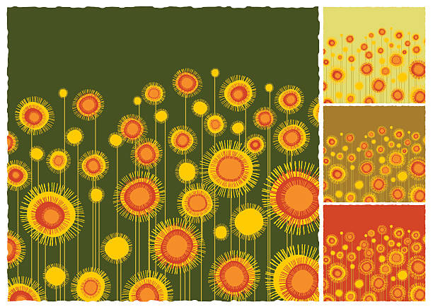 Sunflowers field background vector art illustration