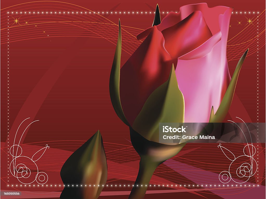 Fiore rosa rossa-vettoriale - arte vettoriale royalty-free di Amore