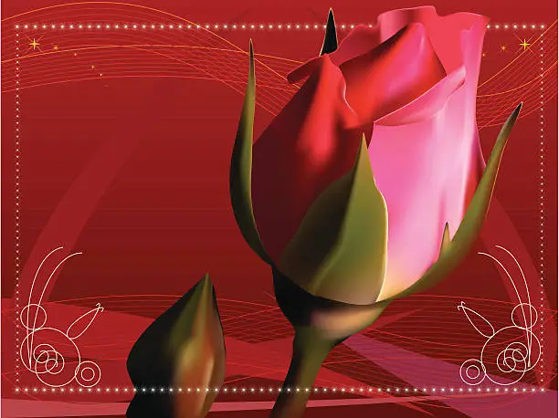 Vector illustration of Red Rose flower - VECTOR