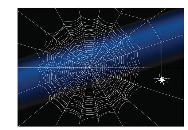 Vector illustration of The almost perfect spiderweb