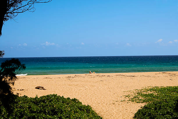 istock Exclusive Idyllic private beach  XXL 165050986