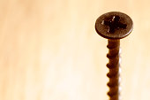 Bugle Head Drywall Screw Against Wooden Background