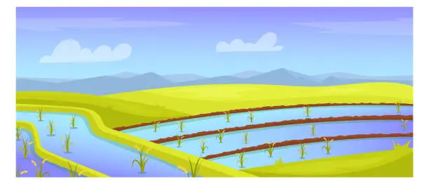 Vector illustration of Rice field landscape. Farm with growing plants cartoon background