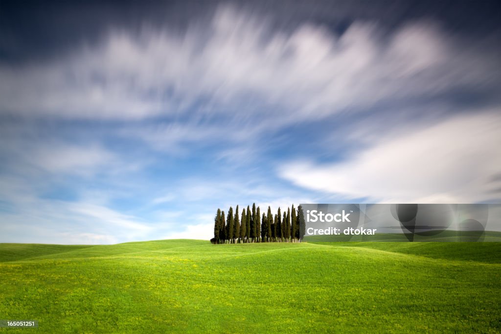 Paesaggio tipico della Toscana - Foto stock royalty-free di Albero